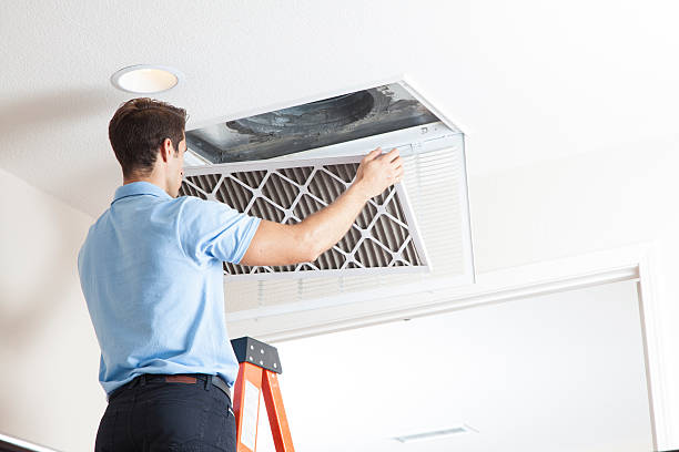 Best Affordable HVAC Services  in Homer, MI